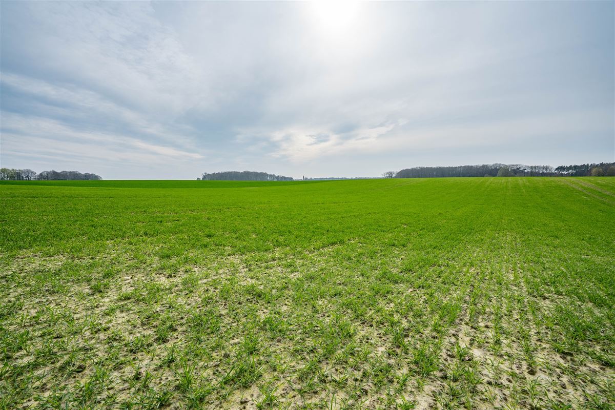 Terrain-09684