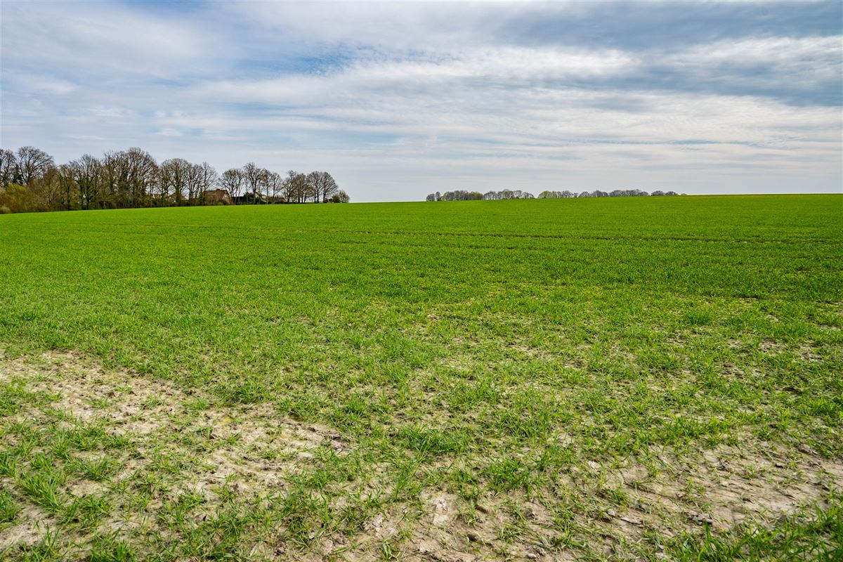 Terrain-09655