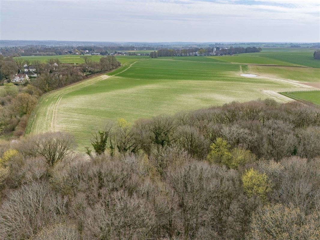 Terrain--2