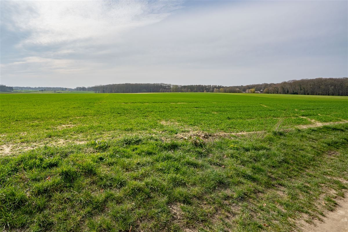 Terrain-09602