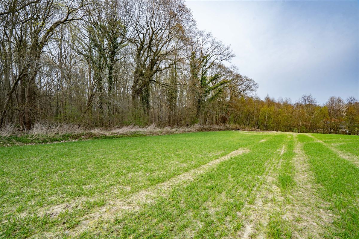 Terrain-09657