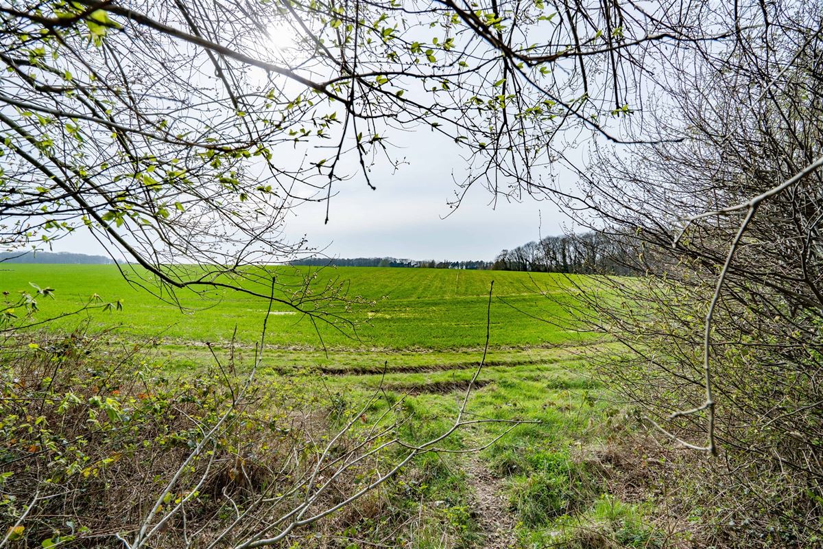 Terrain-09698