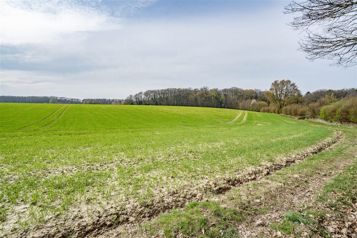 Terrain-09621