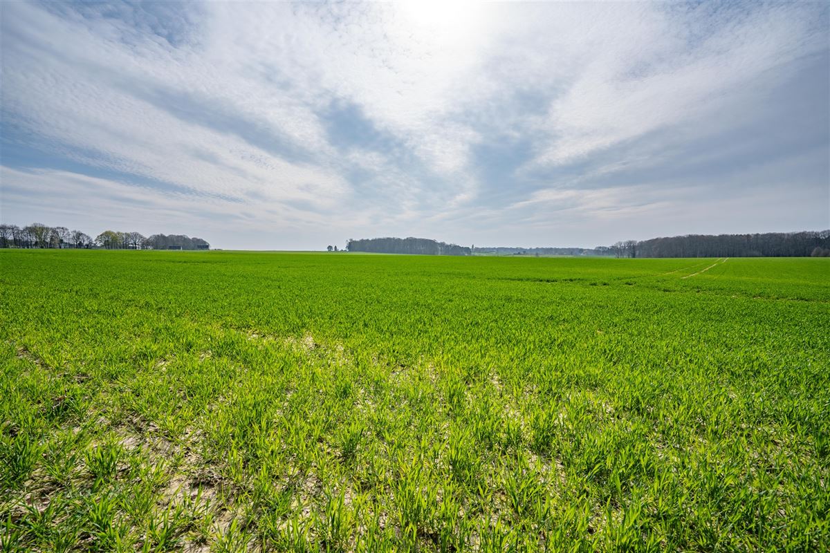 Terrain-09613