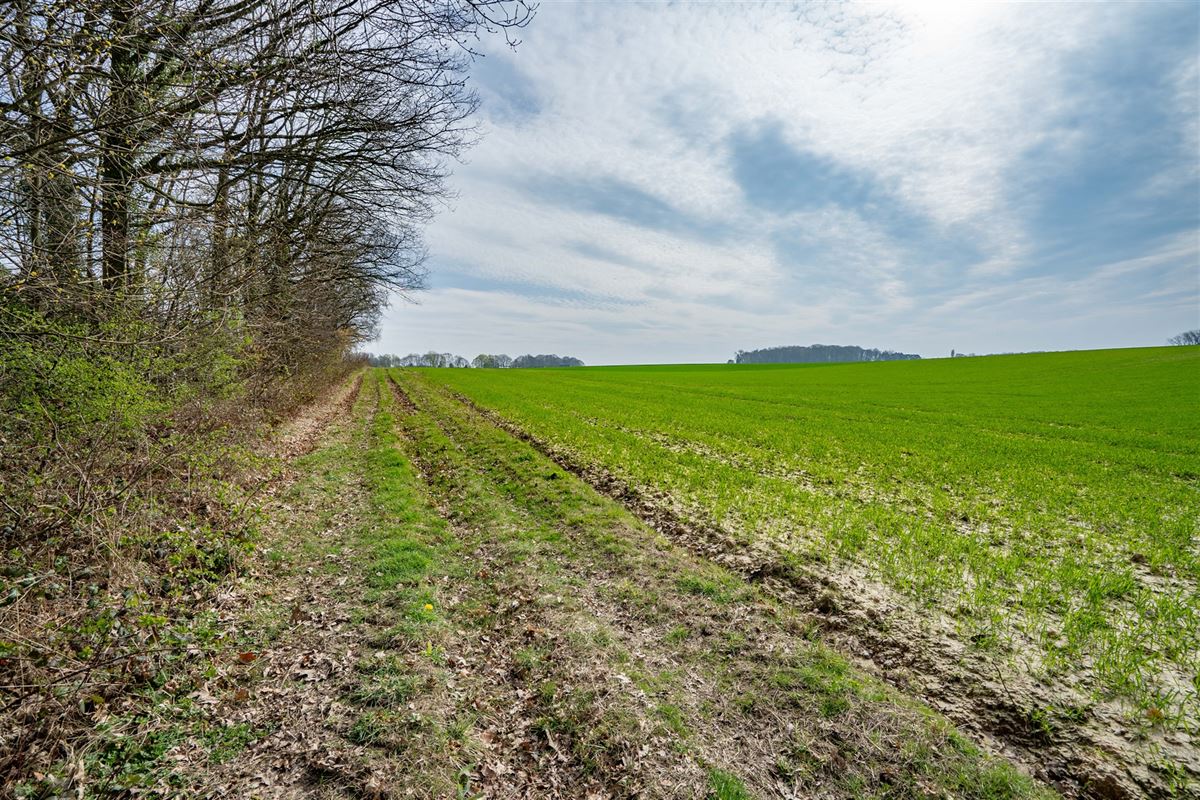 Terrain-09624