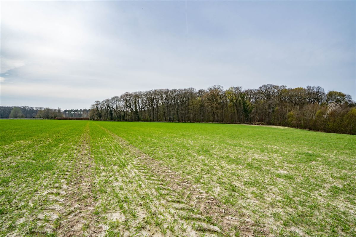 Terrain-09674