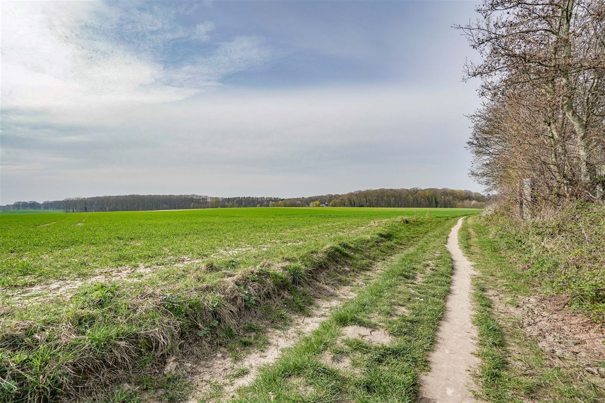 Terrain-09600
