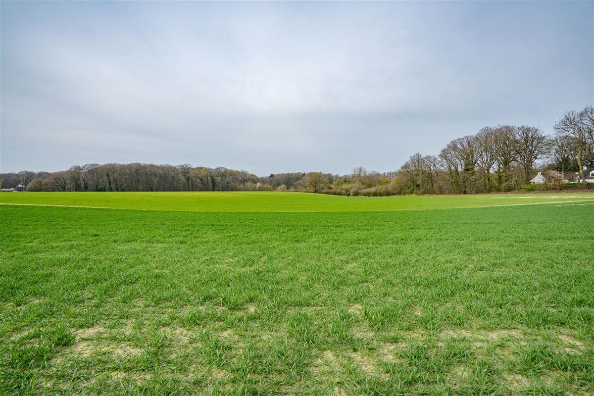 Terrain-09688