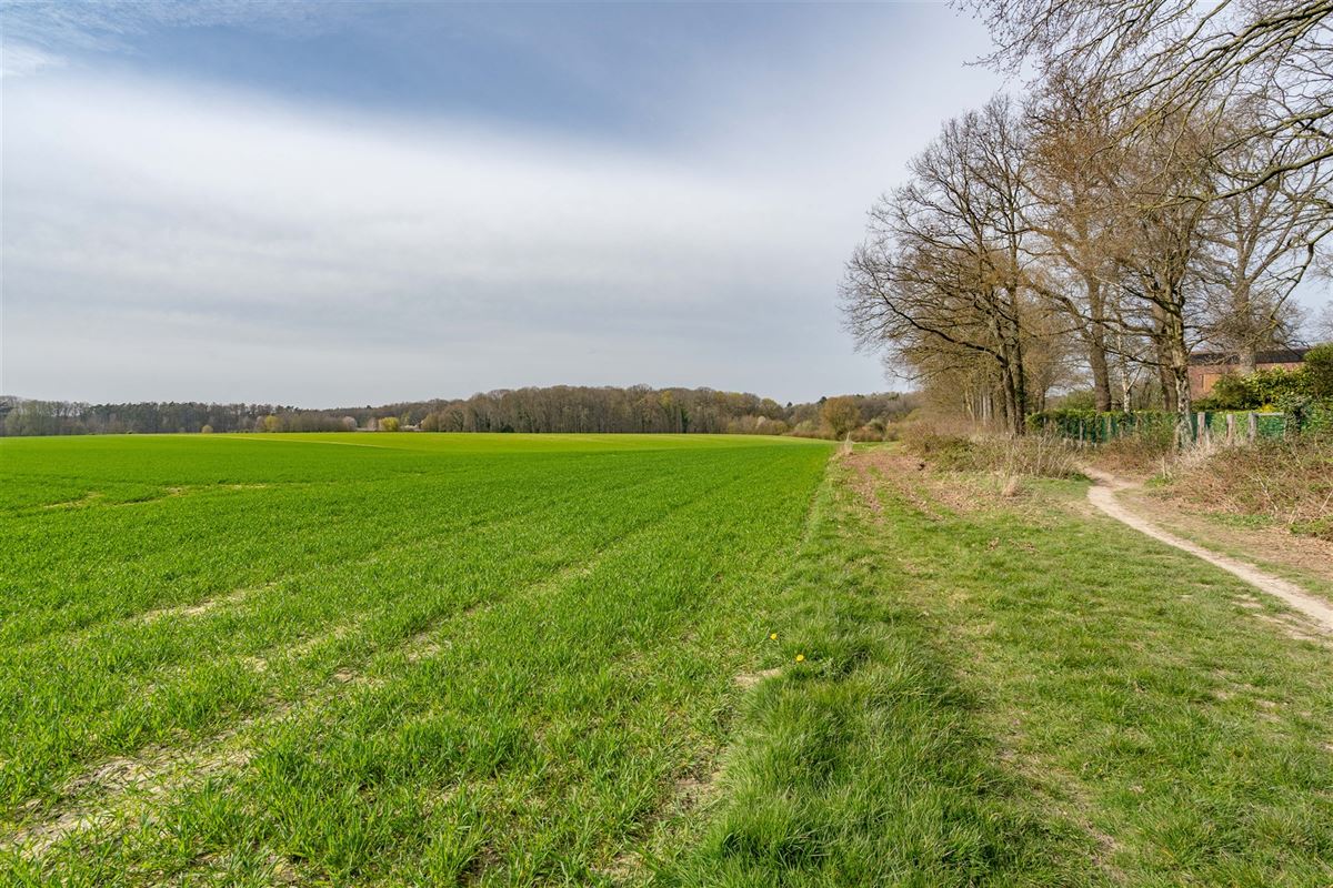 Terrain-09607