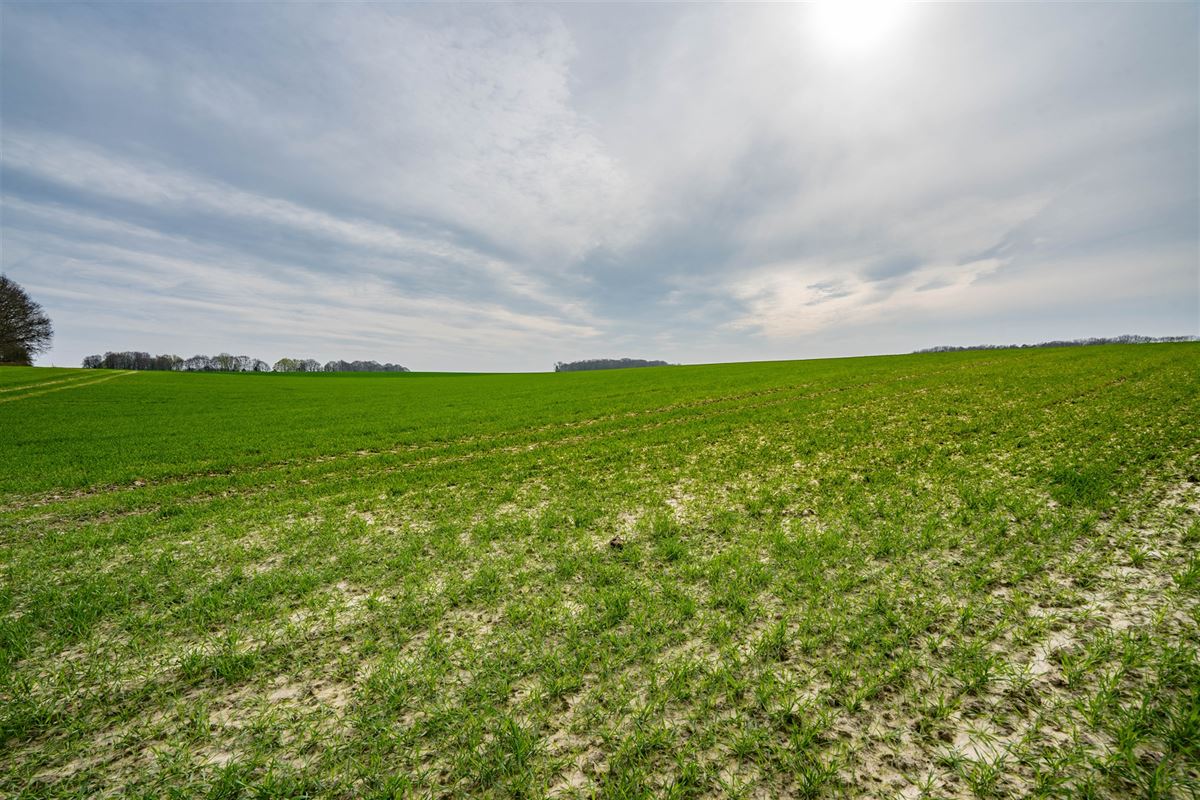 Terrain-09677