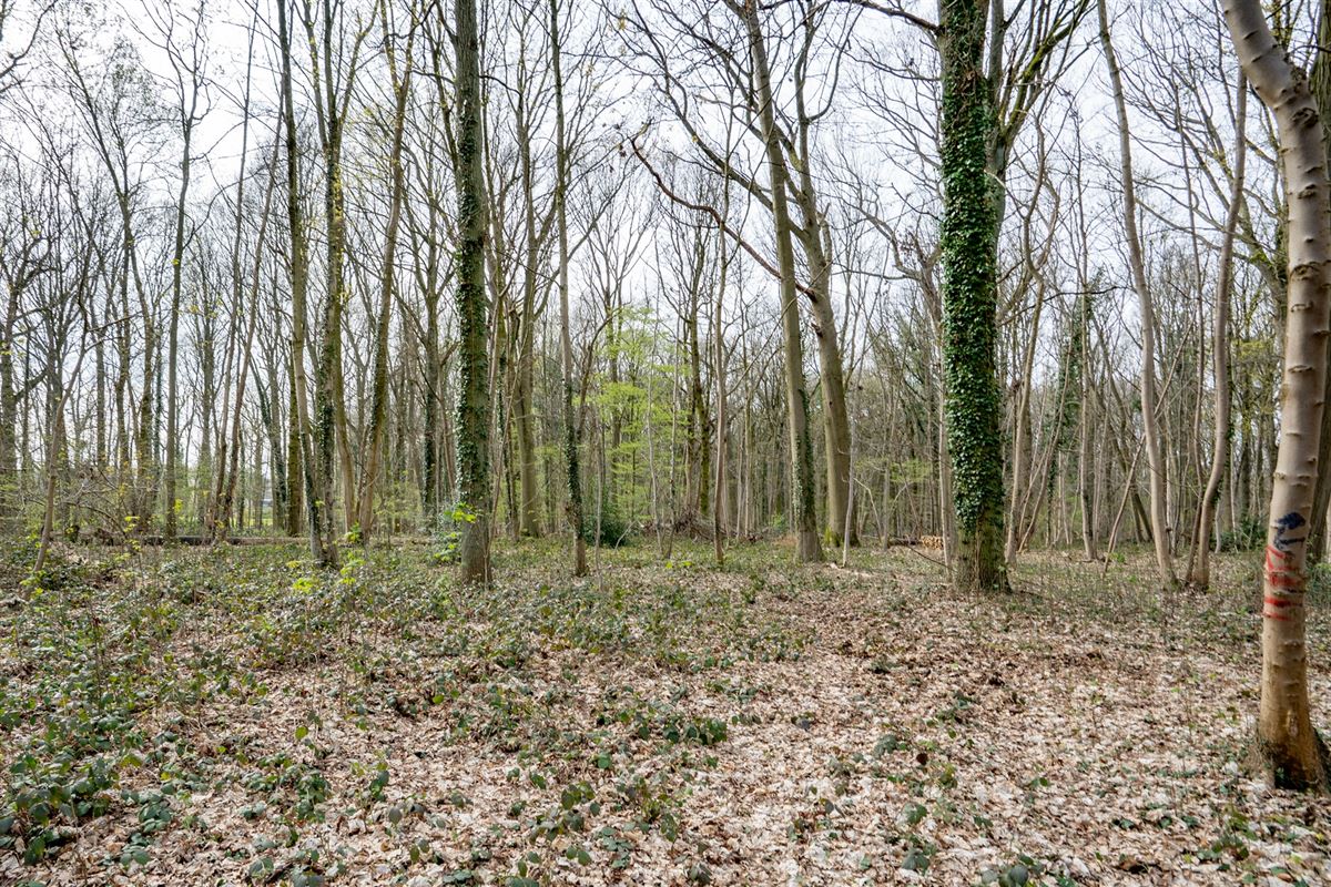 Terrain-09649