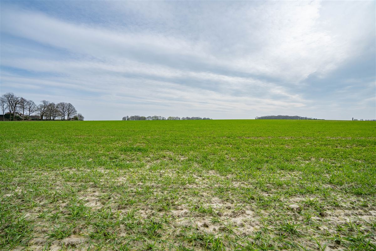 Terrain-09671