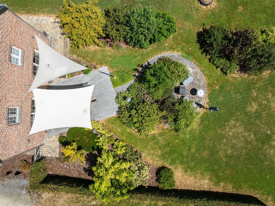 DJI_0699.jpg