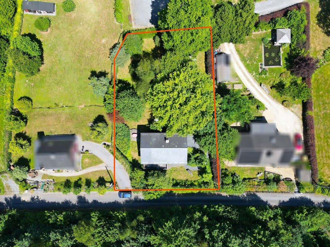 DJI_0314dét.JPG