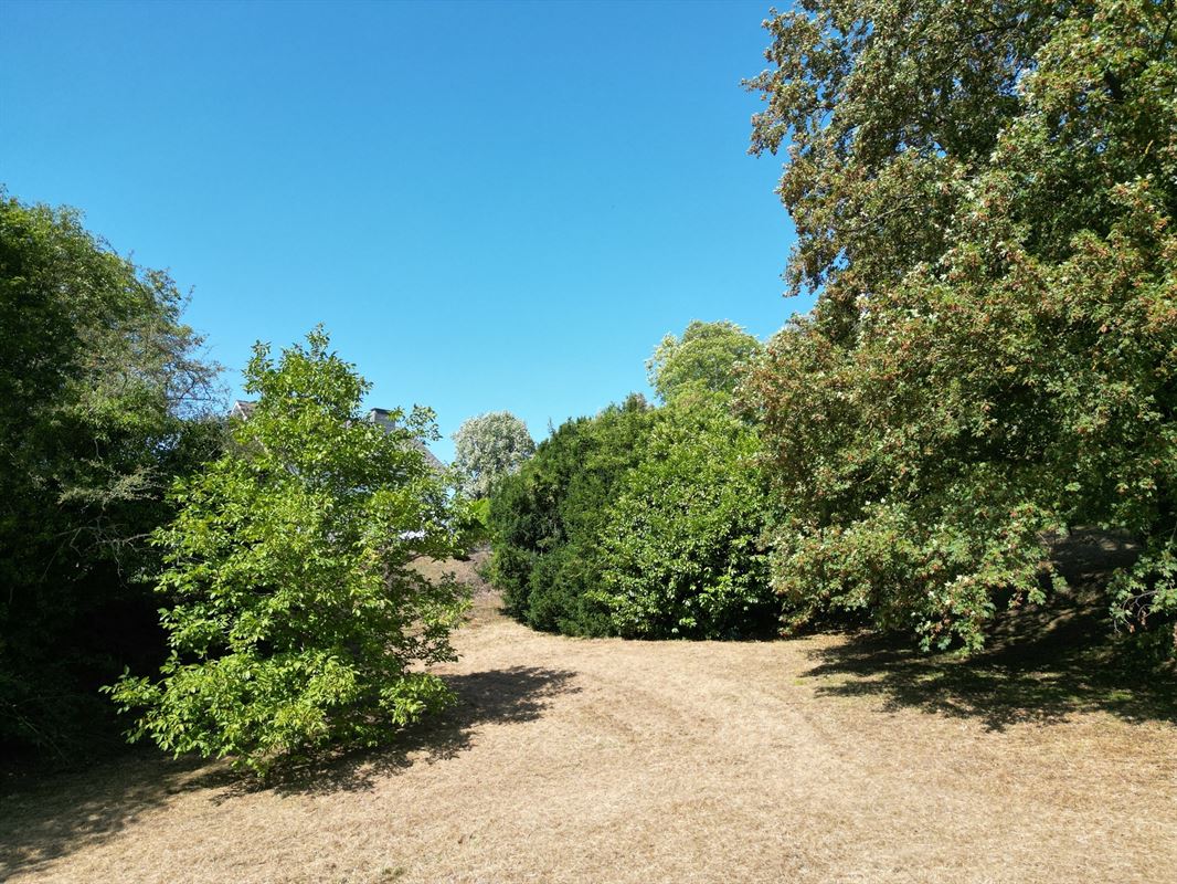 DJI_0022.JPG