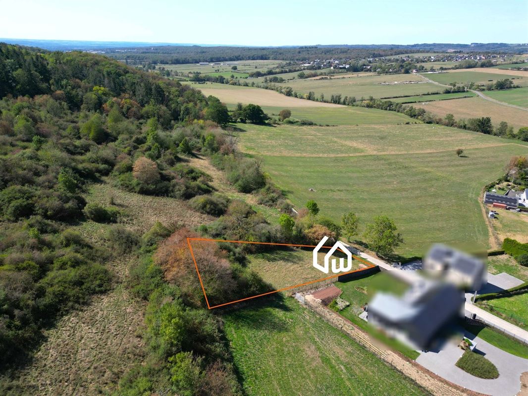 DJI_0996 det.JPG