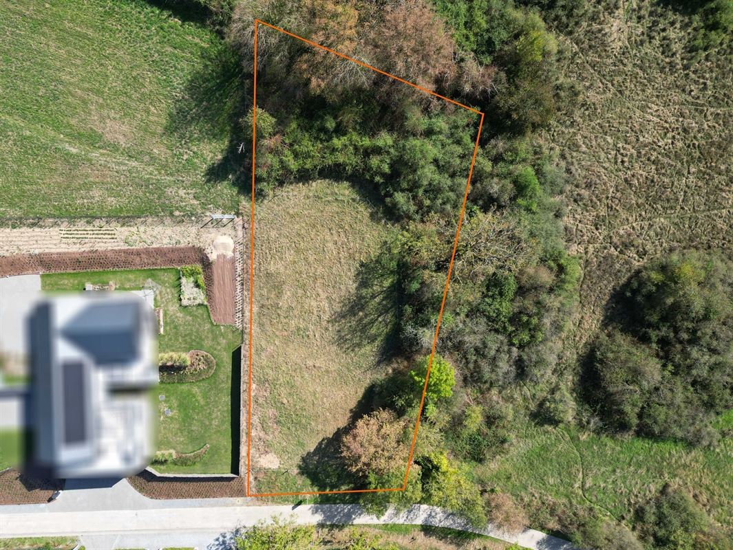 DJI_0993 det.JPG