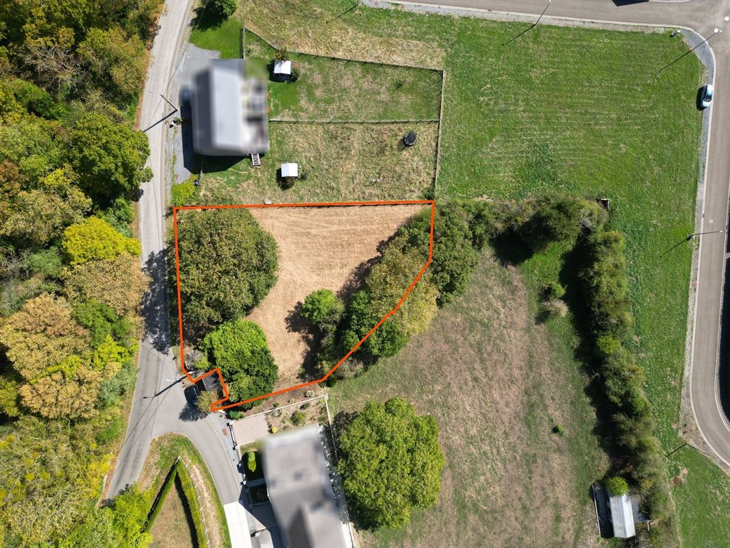 DJI_0020 dét+flou.JPG