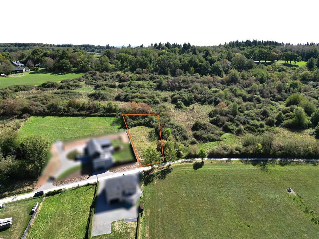 DJI_0999 det.JPG