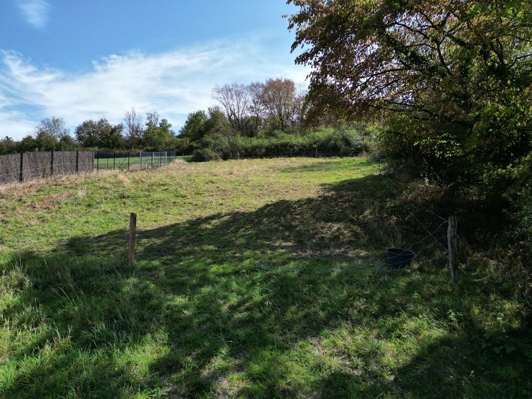 DJI_0008.JPG