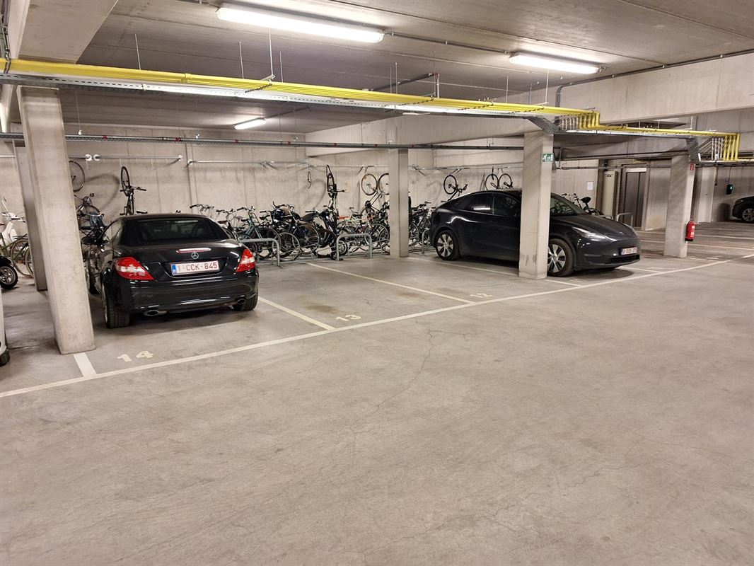 BELEGSTRAAT 55 - P013 ANTWERPEN