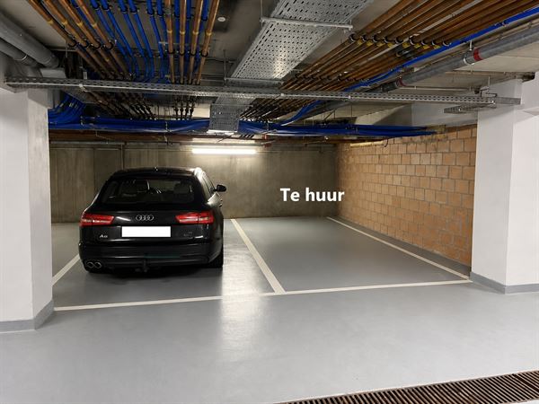 Ruime staanplaatsen centrum met en of laadpaal