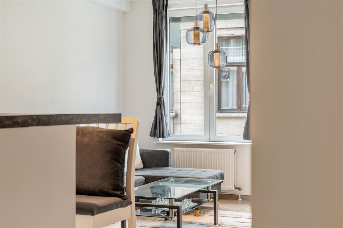 Gemeubeld 1 slk app in hartje Antwerpen