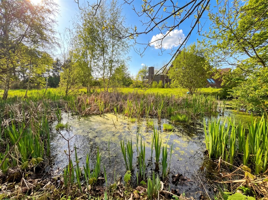 Te renoveren enorme villa (925 m² bewoonbaar) op 7874 m²