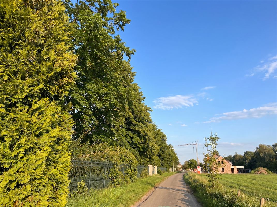 Te renoveren enorme villa (925 m² bewoonbaar) op 7874 m²