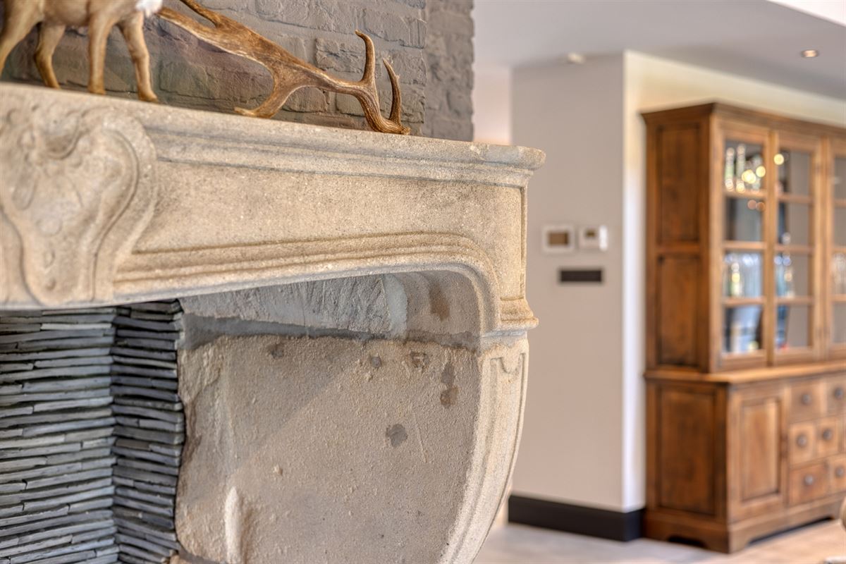 Landelijke luxe: unieke villa op ca. 11.000 m² privé-domein