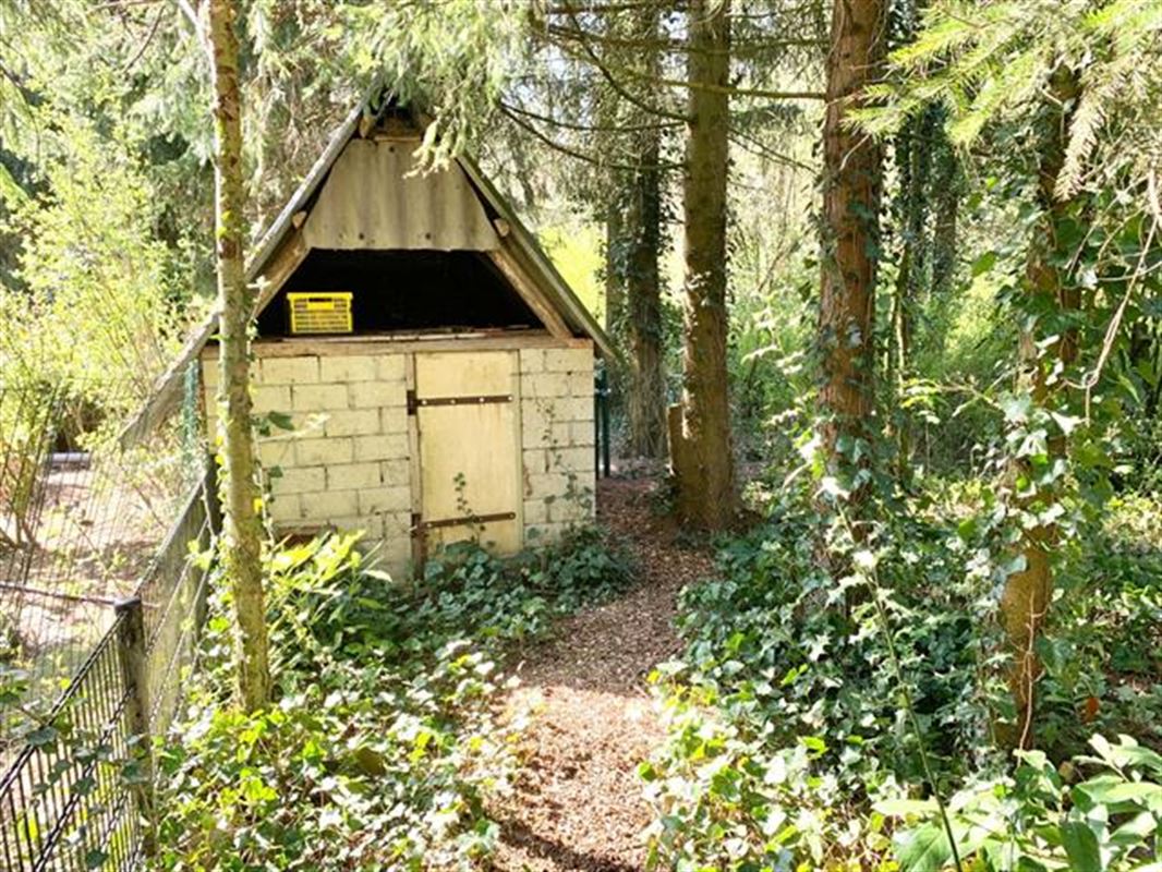 instapklare vakantiewoning in een uniek natuurgebied