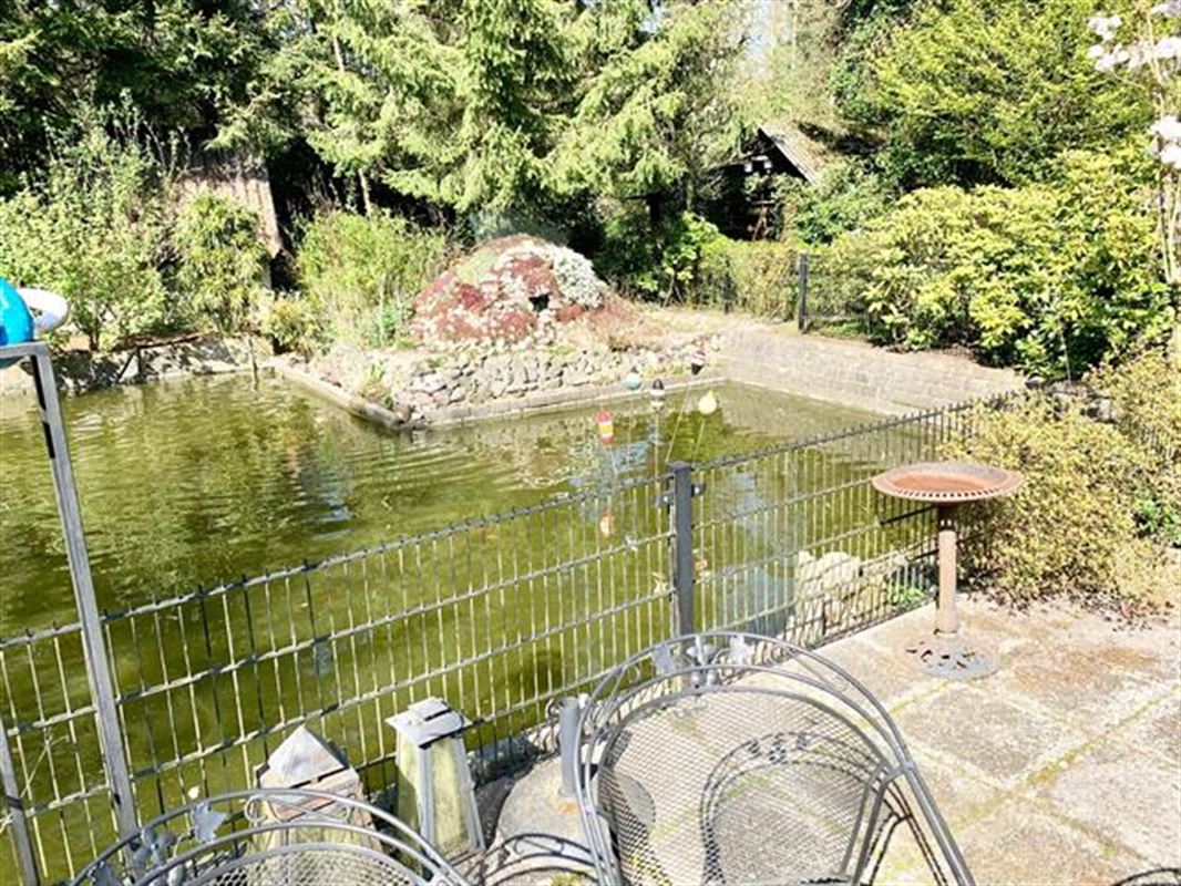 instapklare vakantiewoning in een uniek natuurgebied