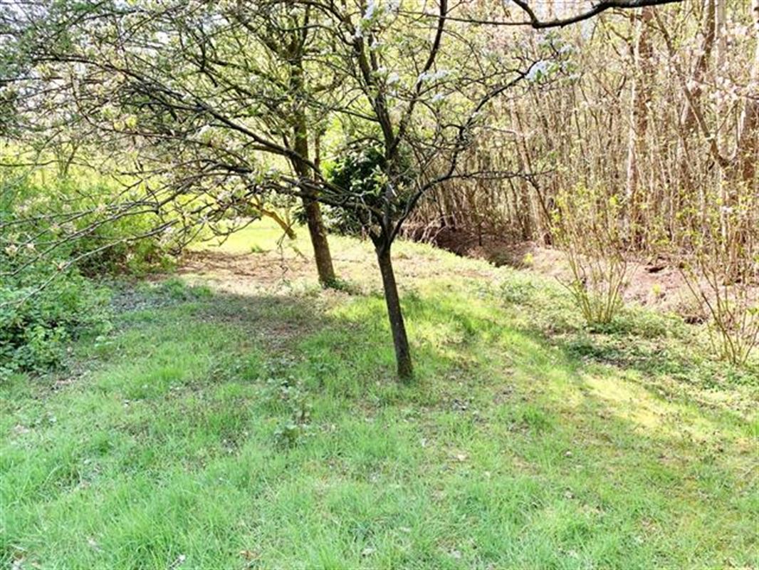 instapklare vakantiewoning in een uniek natuurgebied