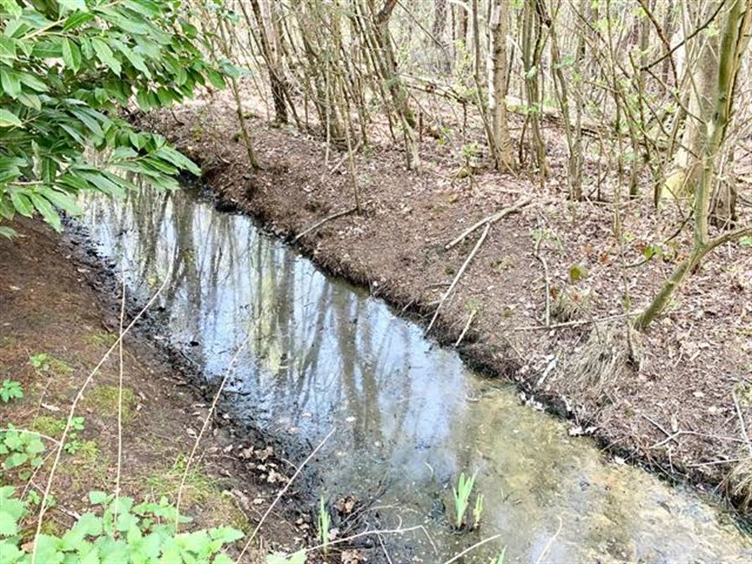 instapklare vakantiewoning in een uniek natuurgebied