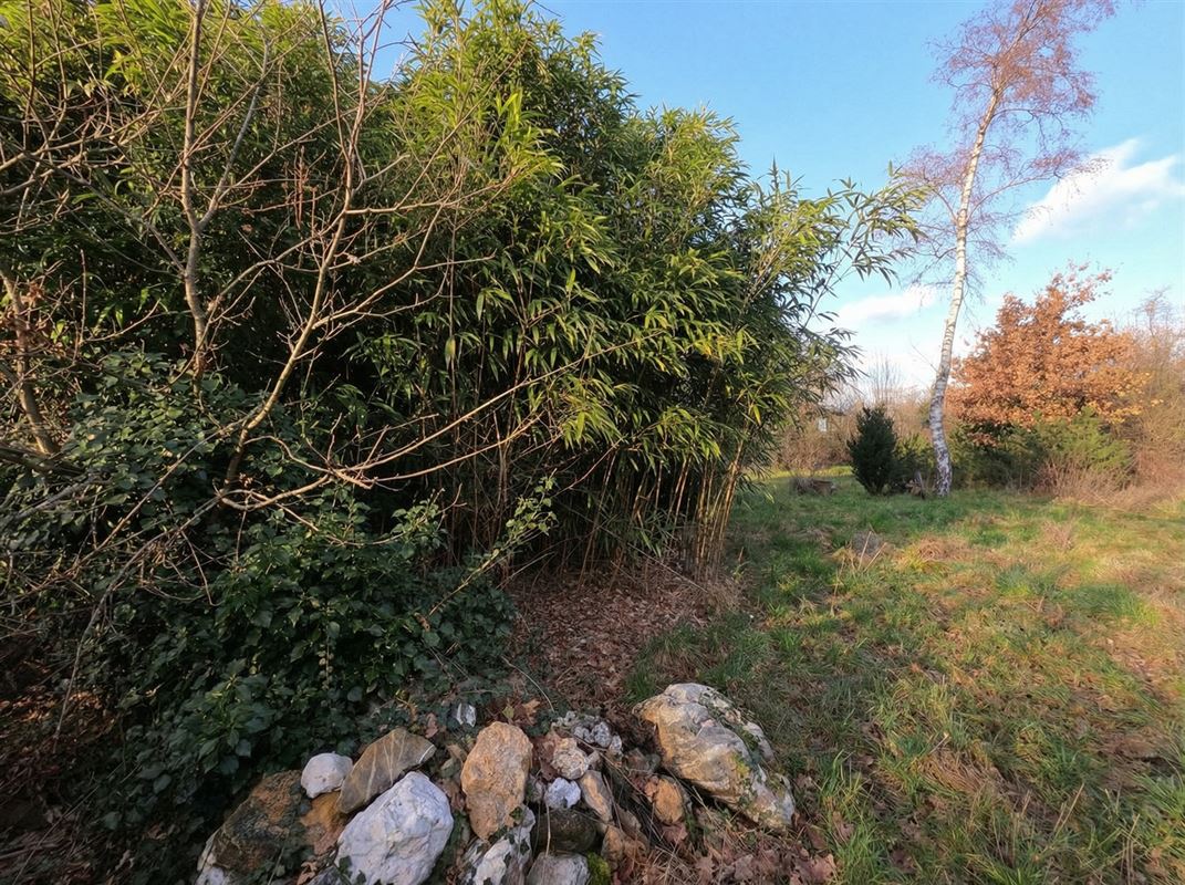 Top gelegen bouwperceel van 1000m²