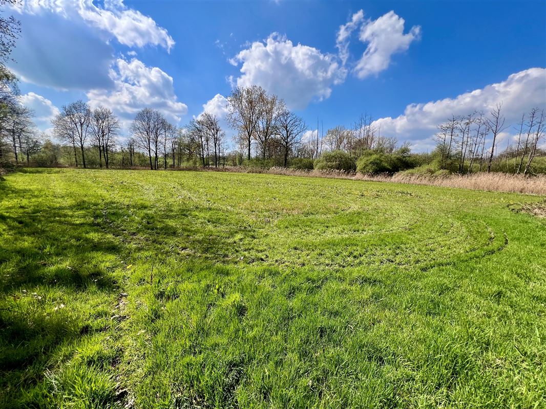 Agrarisch perceel van 8.260 m, groene en rustige omgeving