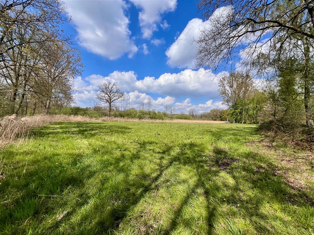 Agrarisch perceel van 8.260 m, groene en rustige omgeving