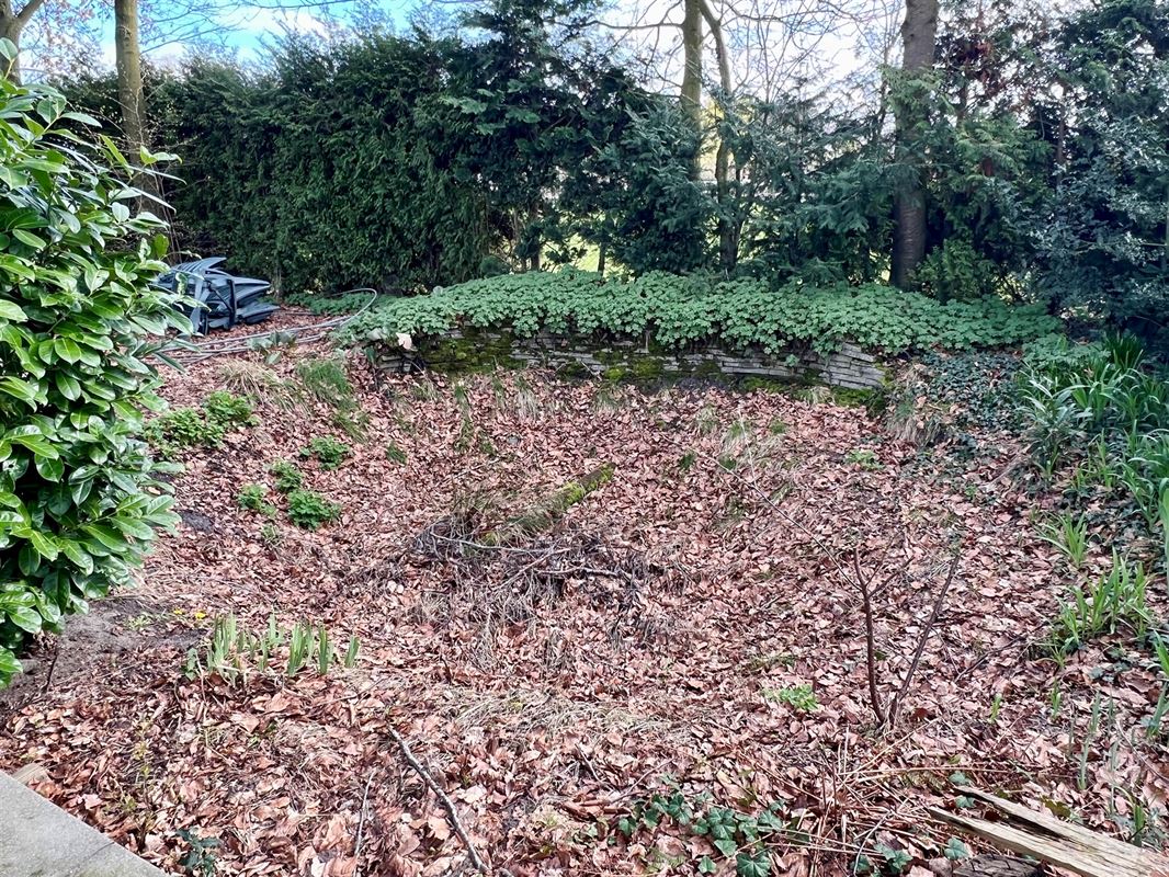 Vakantieverblijf op agrarisch en bebost perceel van 1183 m²