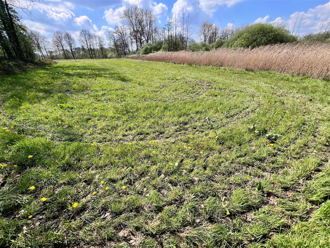 Agrarisch perceel van 8.260 m, groene en rustige omgeving