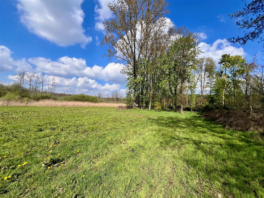 Agrarisch perceel van 8.260 m, groene en rustige omgeving