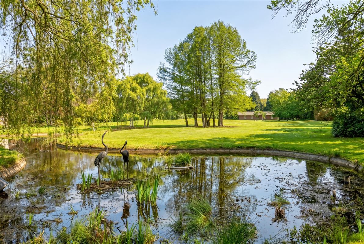 Exclusief landgoed met allure op parkdomein in Pelt