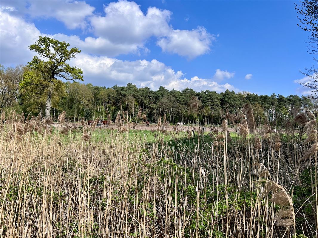 Agrarisch perceel van 8.260 m, groene en rustige omgeving