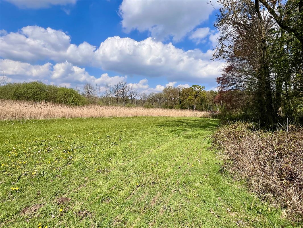 Agrarisch perceel van 8.260 m, groene en rustige omgeving
