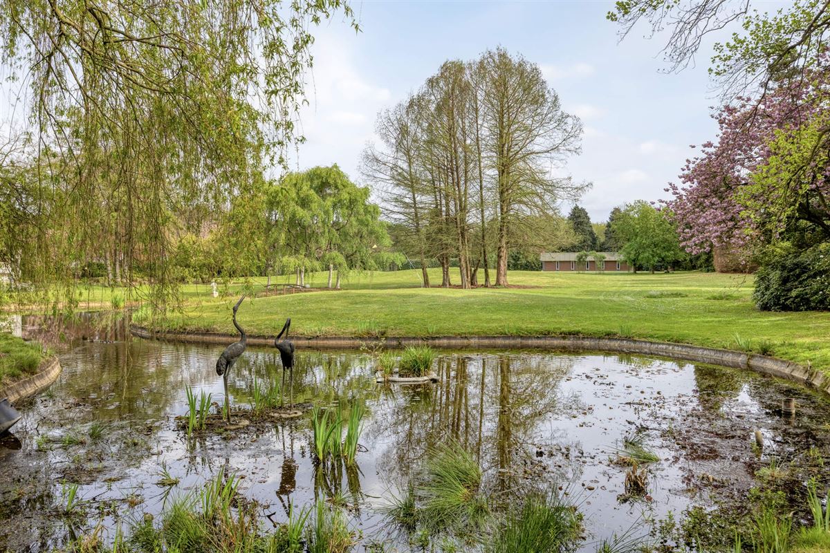 Exclusief landgoed met allure op parkdomein in Pelt