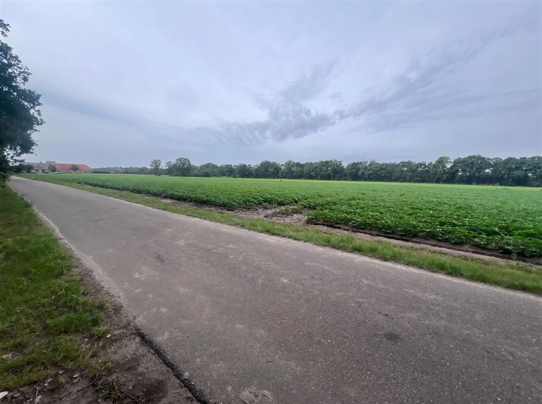 Bosperceel van 6.340 m² op rustige ligging te Oud-Turnhout