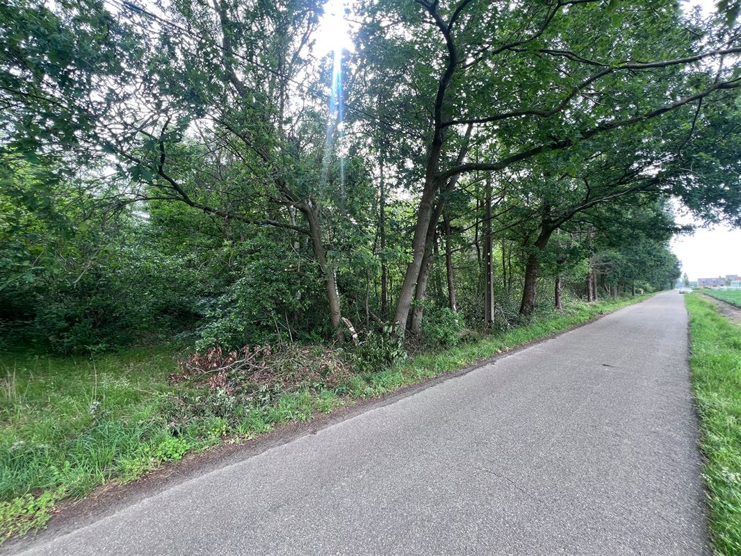 Bosperceel van 6.340 m² op rustige ligging te Oud-Turnhout