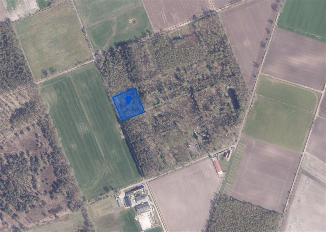 Bosperceel van 6.340 m² op rustige ligging te Oud-Turnhout