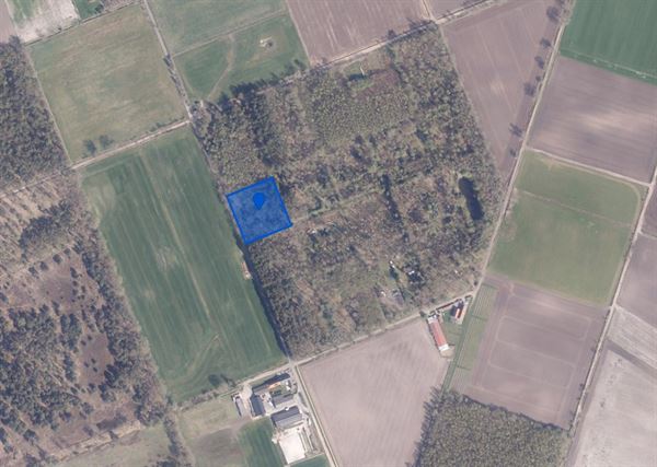 Bosperceel van 6.340 m² op rustige ligging te Oud-Turnhout