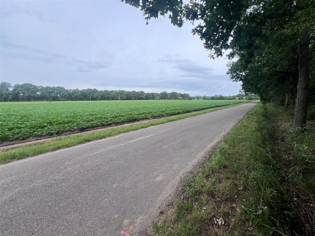 Bosperceel van 6.340 m² op rustige ligging te Oud-Turnhout