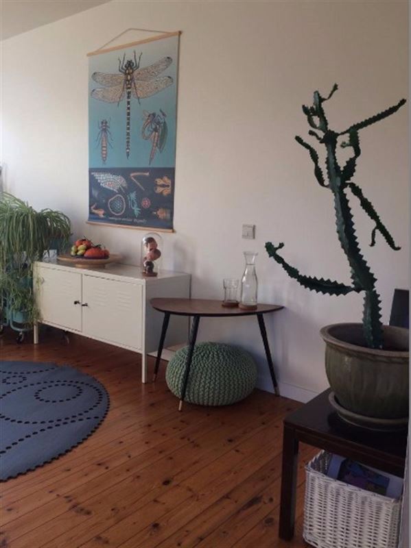 Gezellig appartement